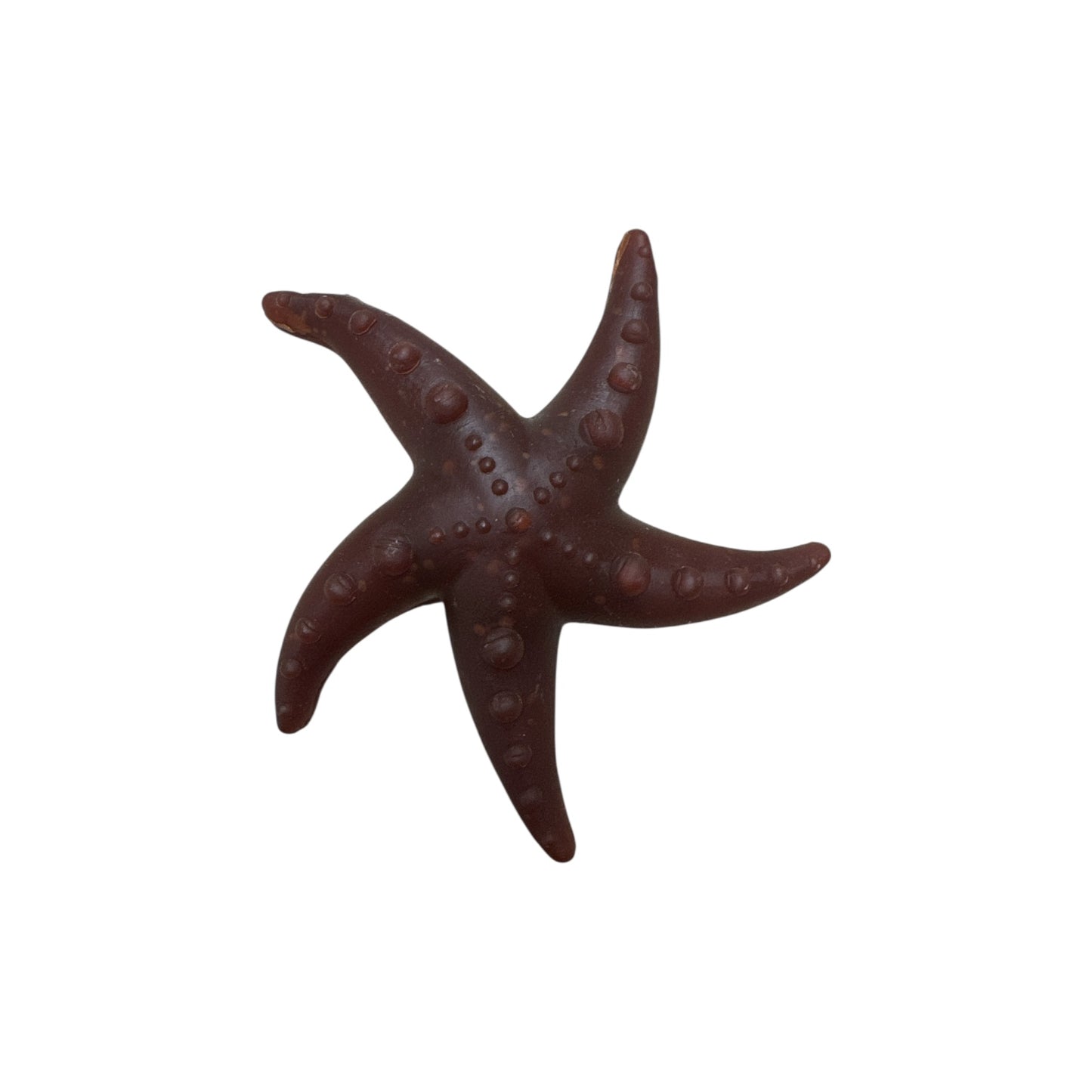 Apple, Broccoli & Mint Starfish Chew for Dogs
