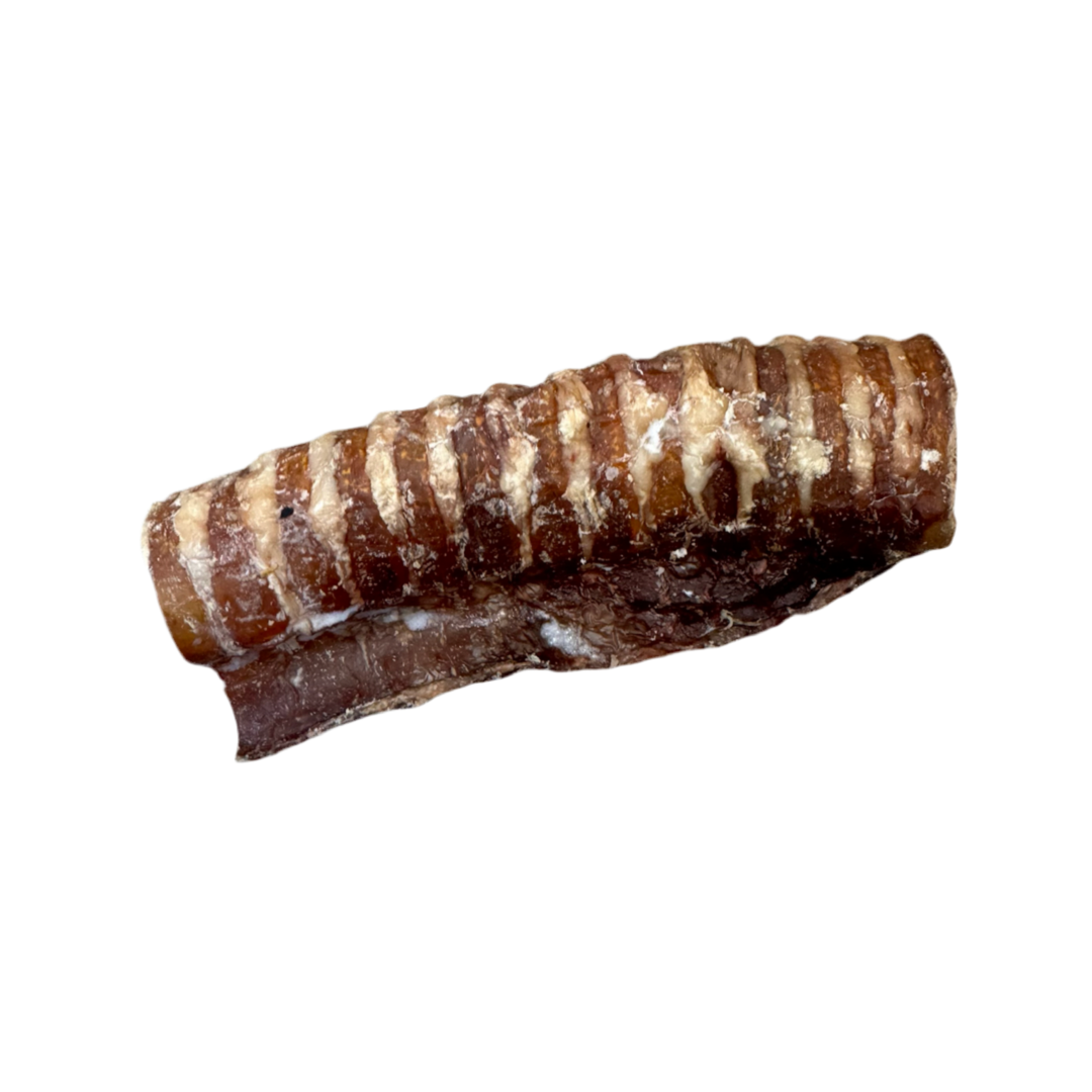 Medium Beef Trachea
