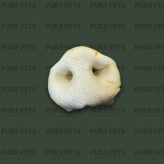 Puffed Pig Snout