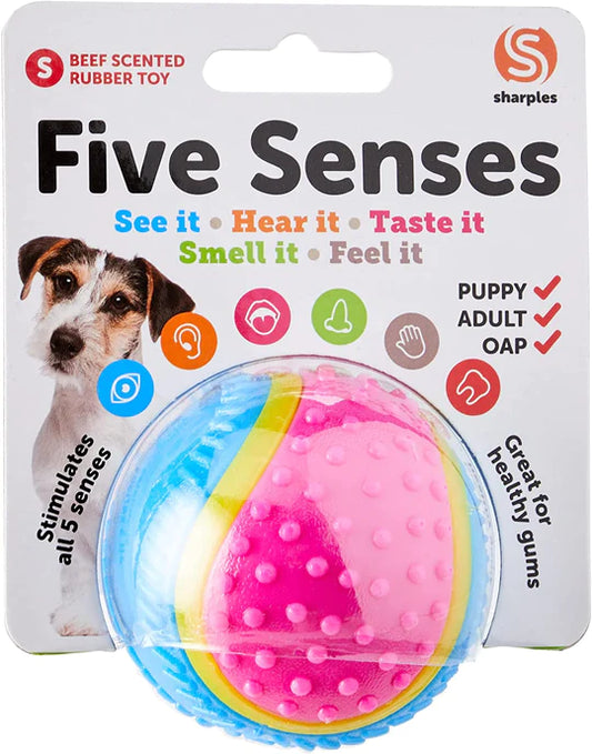 Five Senses Sensory Rubber Ball 8cm