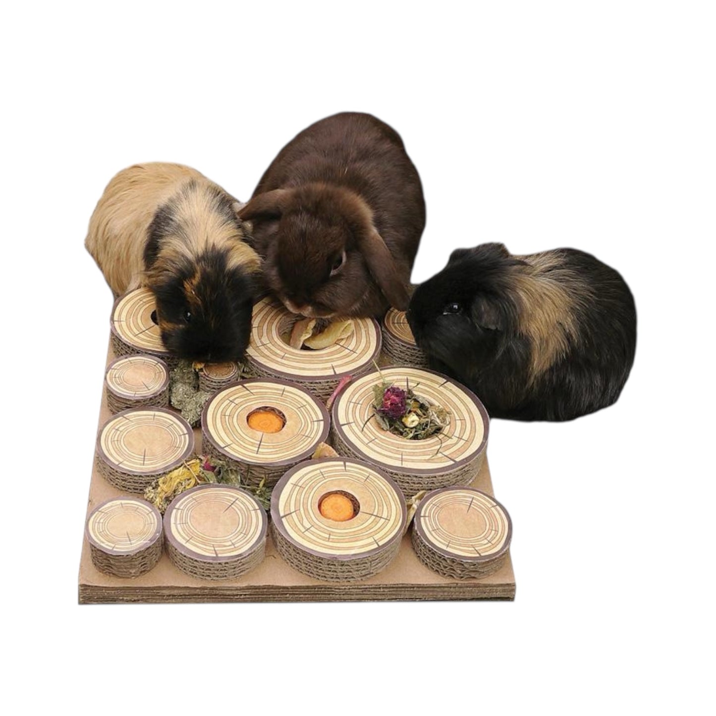 Rosewood Maze A Log Treat Challenge