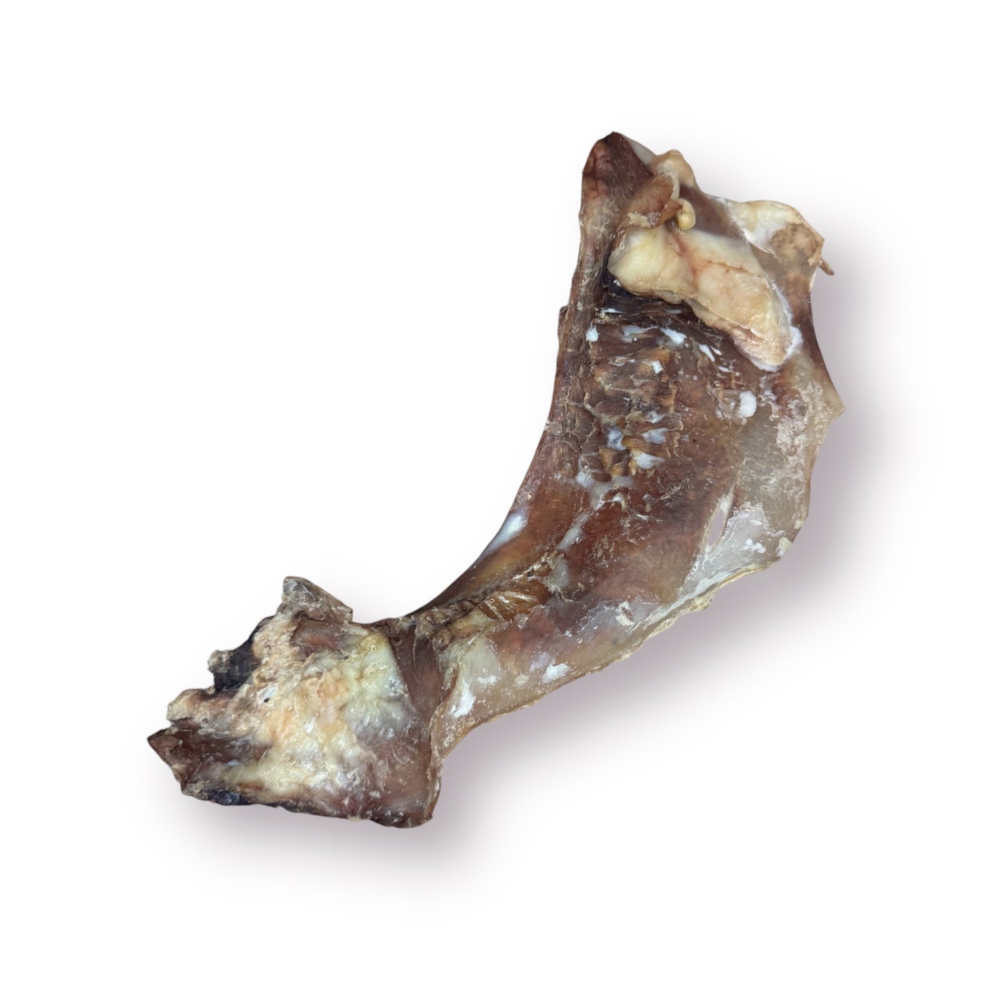 Moonbone (Beef Cartilage)