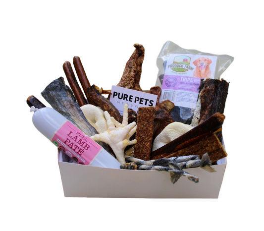 The LITTLE PAWS & GOLDEN OLDIE Treat Box