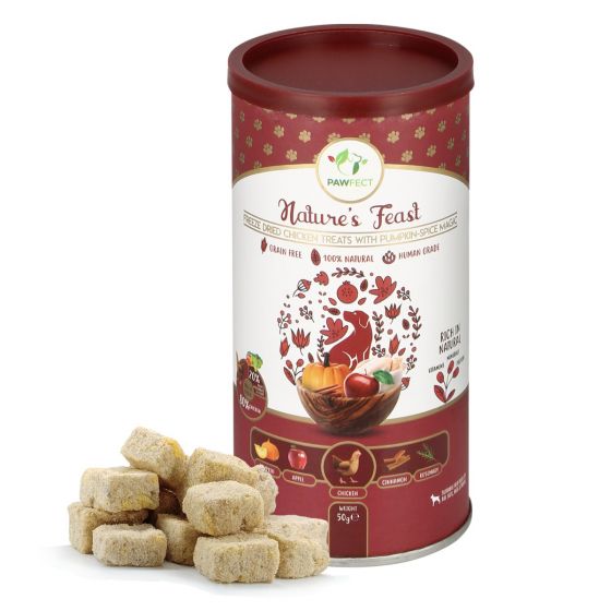 Natures Feast Freeze Dried Treats - Chicken with Pumpkin Spice Magic