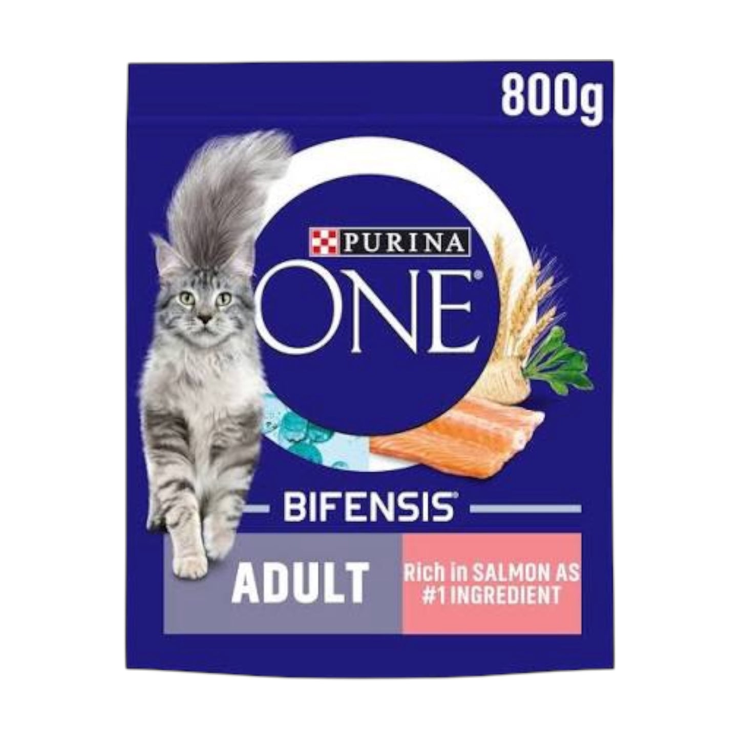 PURINA ONE Adult Cat Salmon 800g