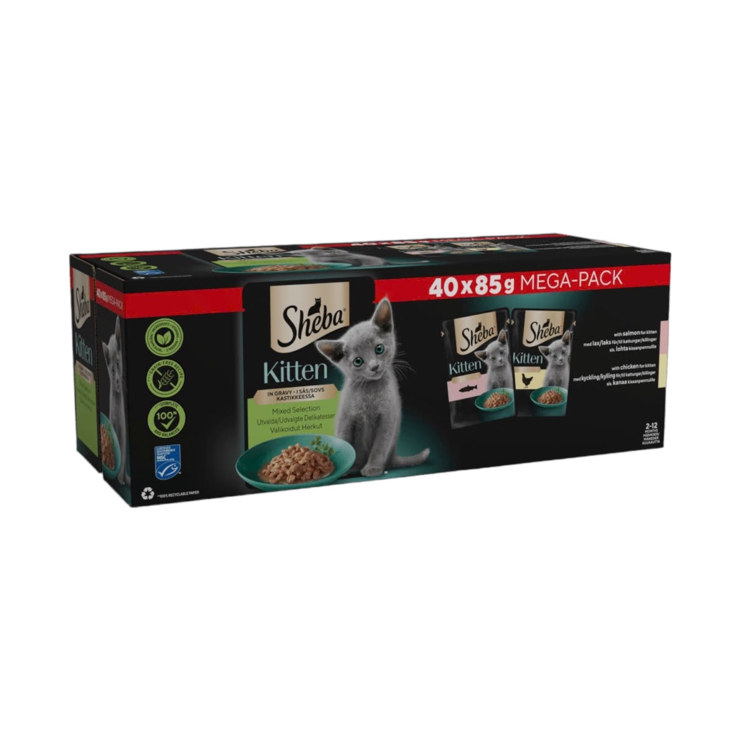 SHEBA® Mixed Selection Kitten Food in Gravy 40 x 85g