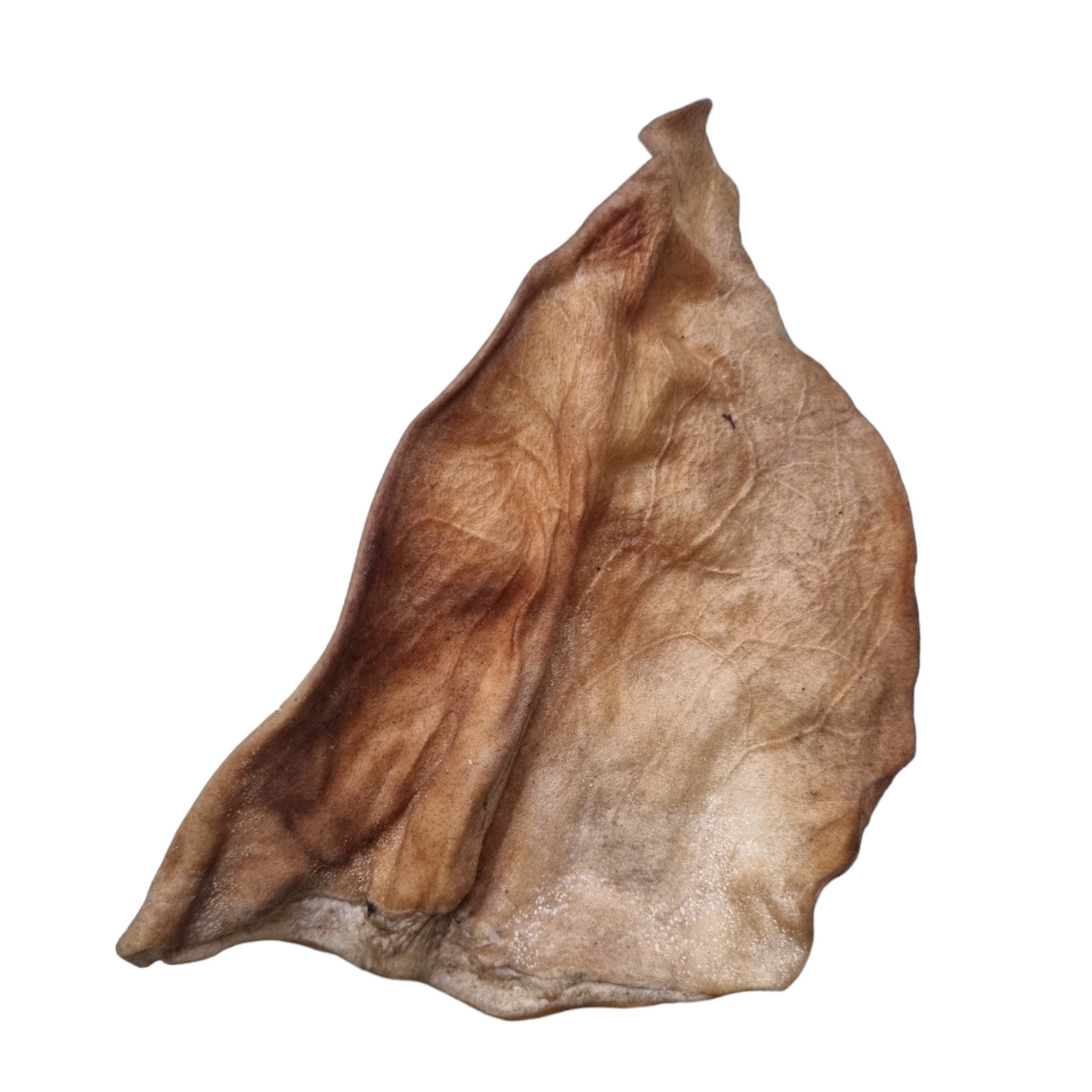 Cow Ear