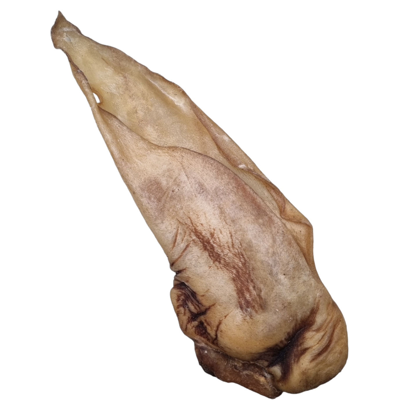 Meaty Buffalo Ear (1pcs)