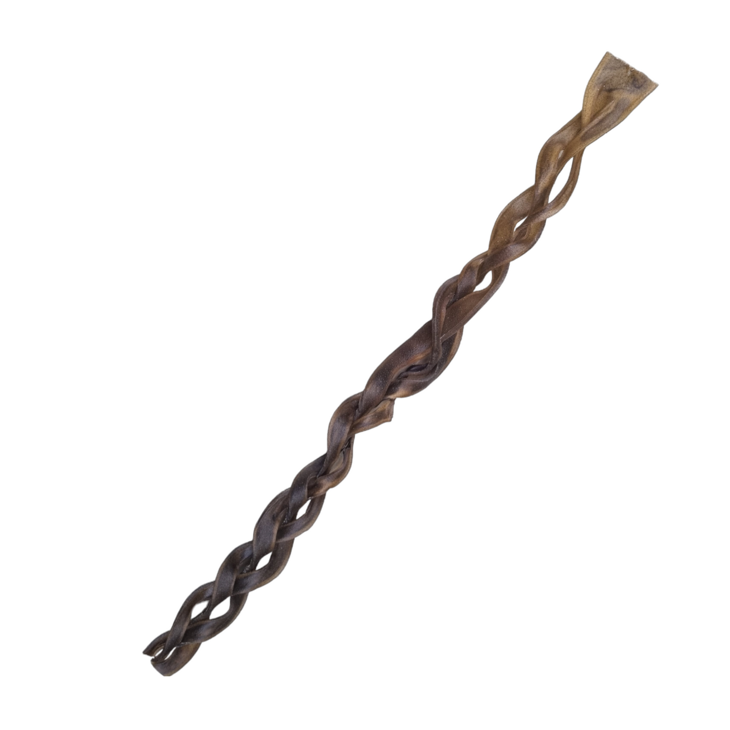 Camel Braid - Giant (1pcs)