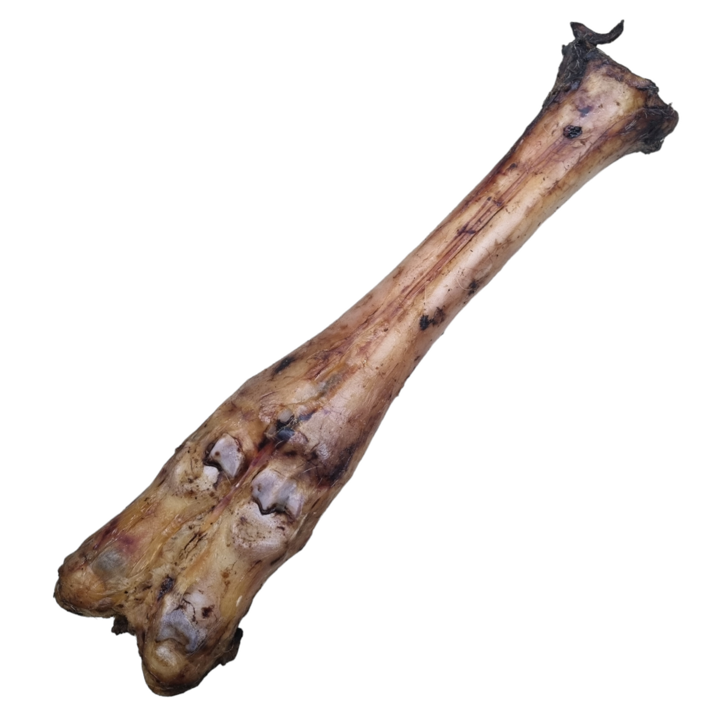 Beef Leg Bones (1pcs)