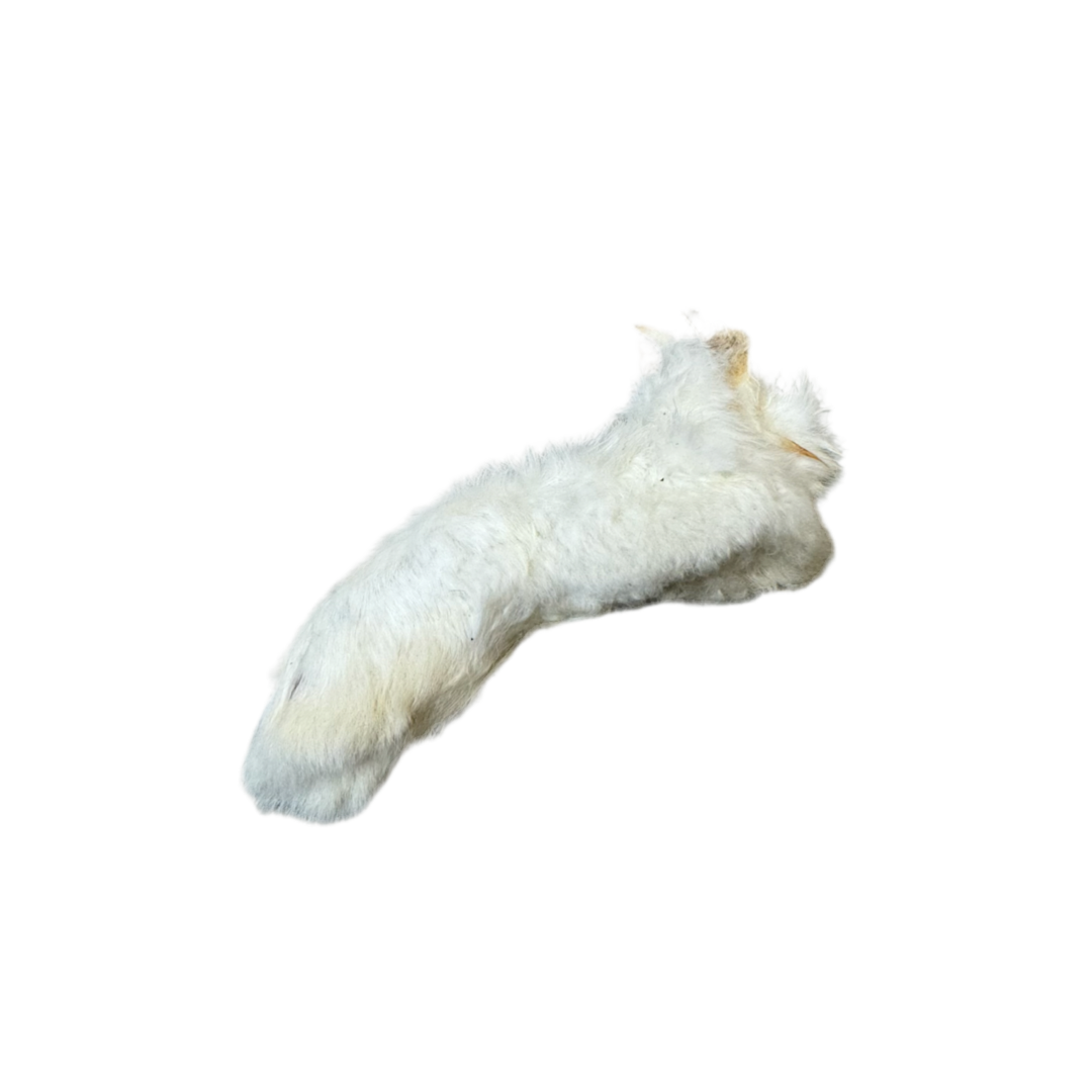 Hairy Rabbit Foot