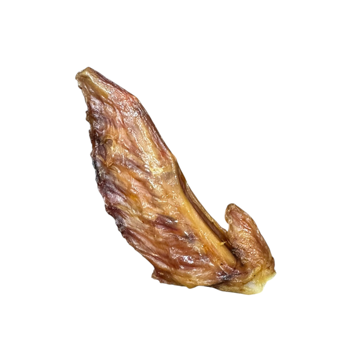 Turkey Wing