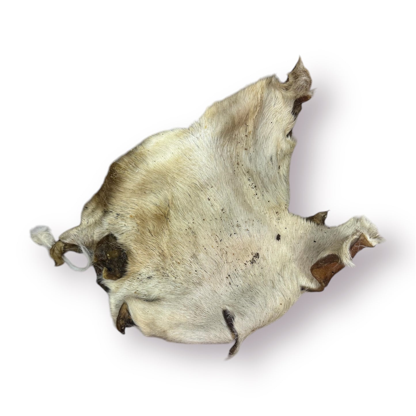 XL Beef Skin
