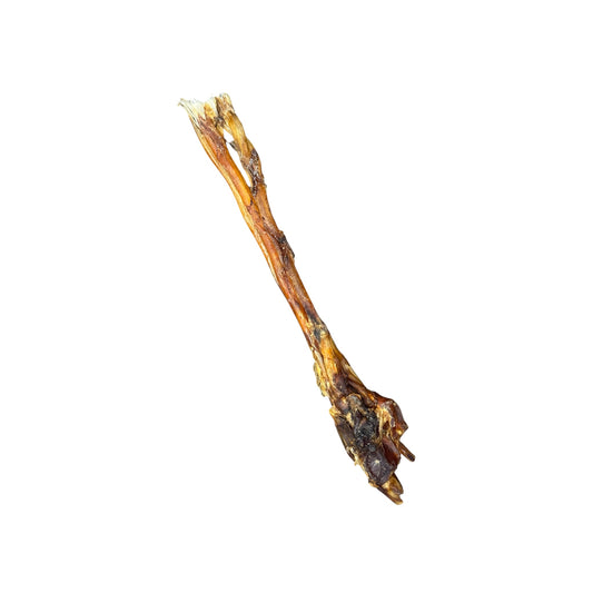 Ostrich Tendon