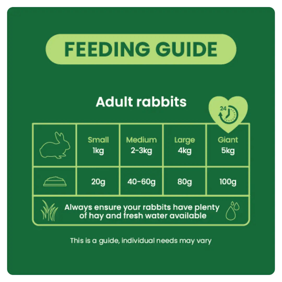 Burgess Excel Adult Rabbit Nuggets with Mint