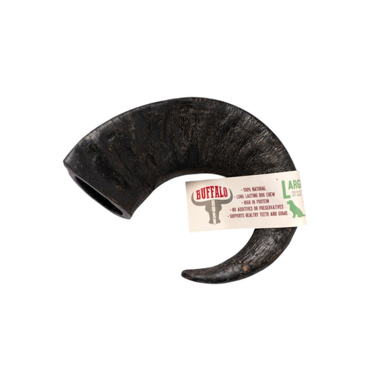 Buffalo Horn
