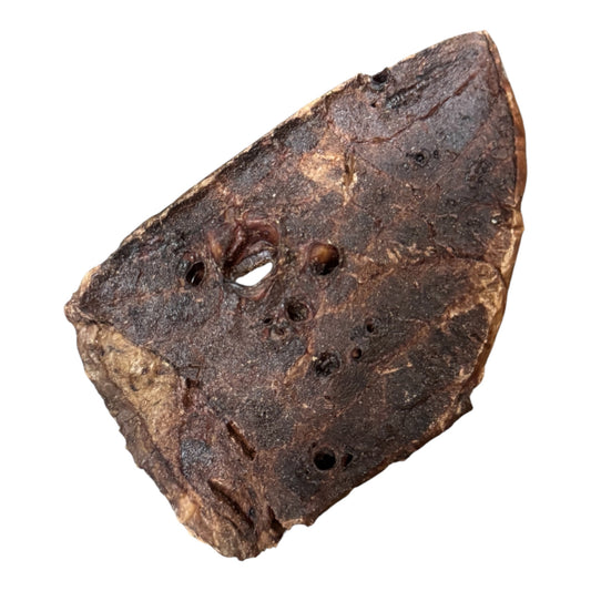 Lamb Lung