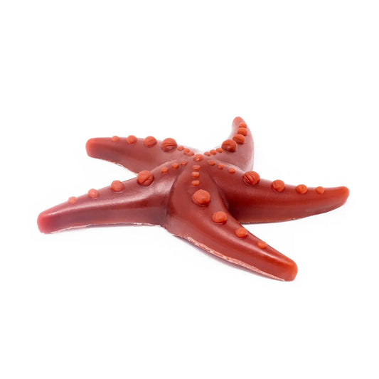 Apple, Broccoli & Mint Starfish Chew for Dogs