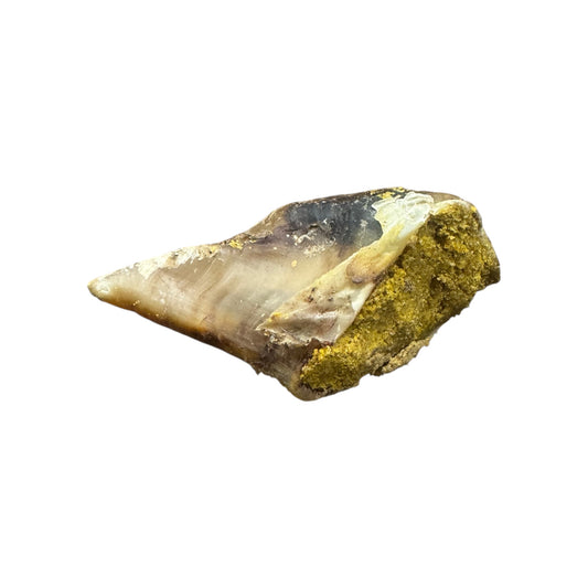 Peanut Butter Filled Cow Hoof