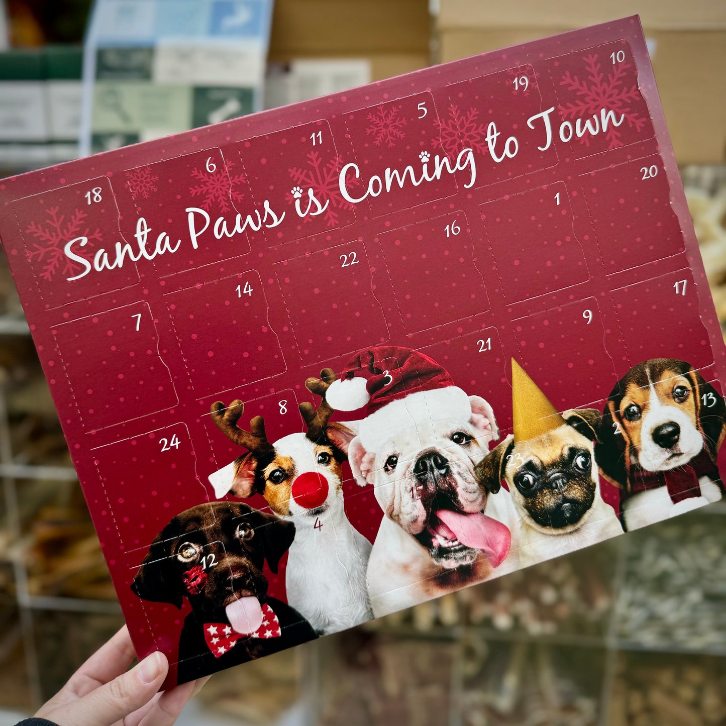 Pure Pets Giant Customised Advent Calendar