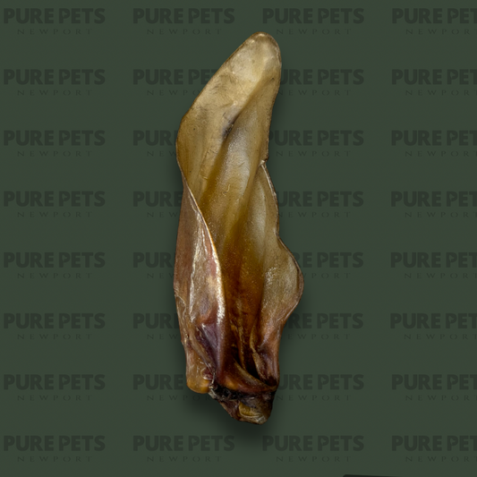 Buffalo Ear