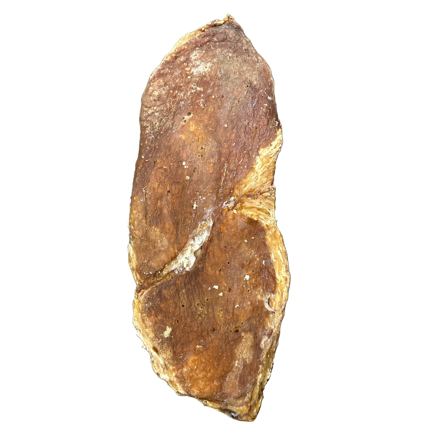 Beef Udder Steak