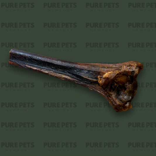 Ostrich Metatarsus Bone