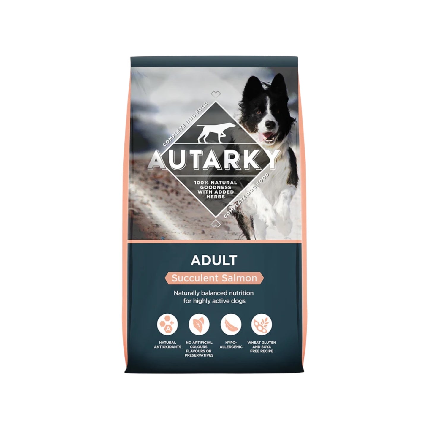 Autarky Adult Succulent Salmon Complete 2kg
