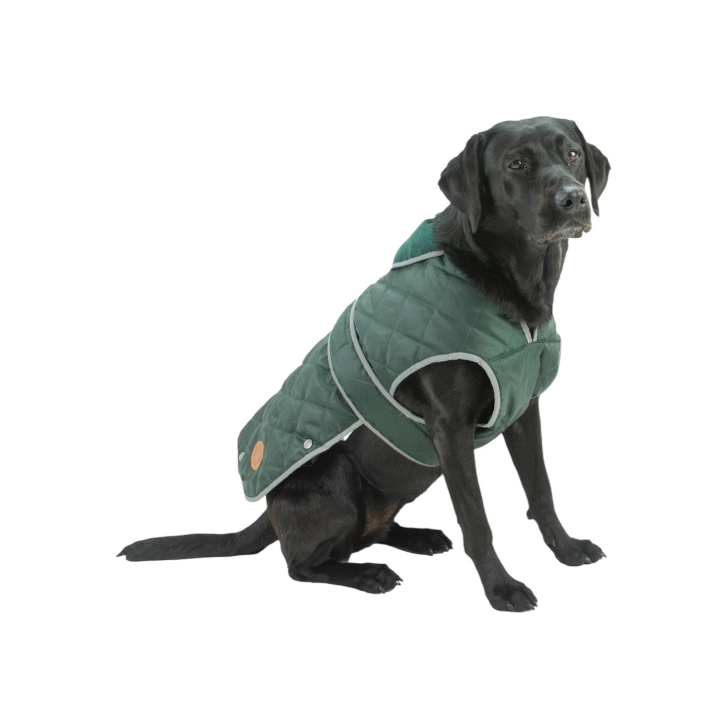 Ancol Heritage Coat Green Quilted