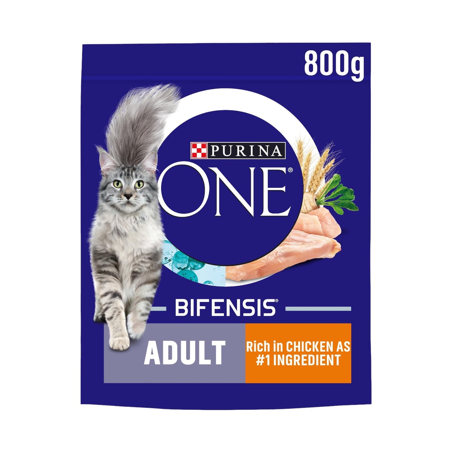 PURINA ONE Adult Cat Chicken 800g