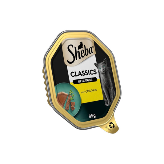 SHEBA® Classics Adult Cat Food with Chicken in Terrine 85g Tray