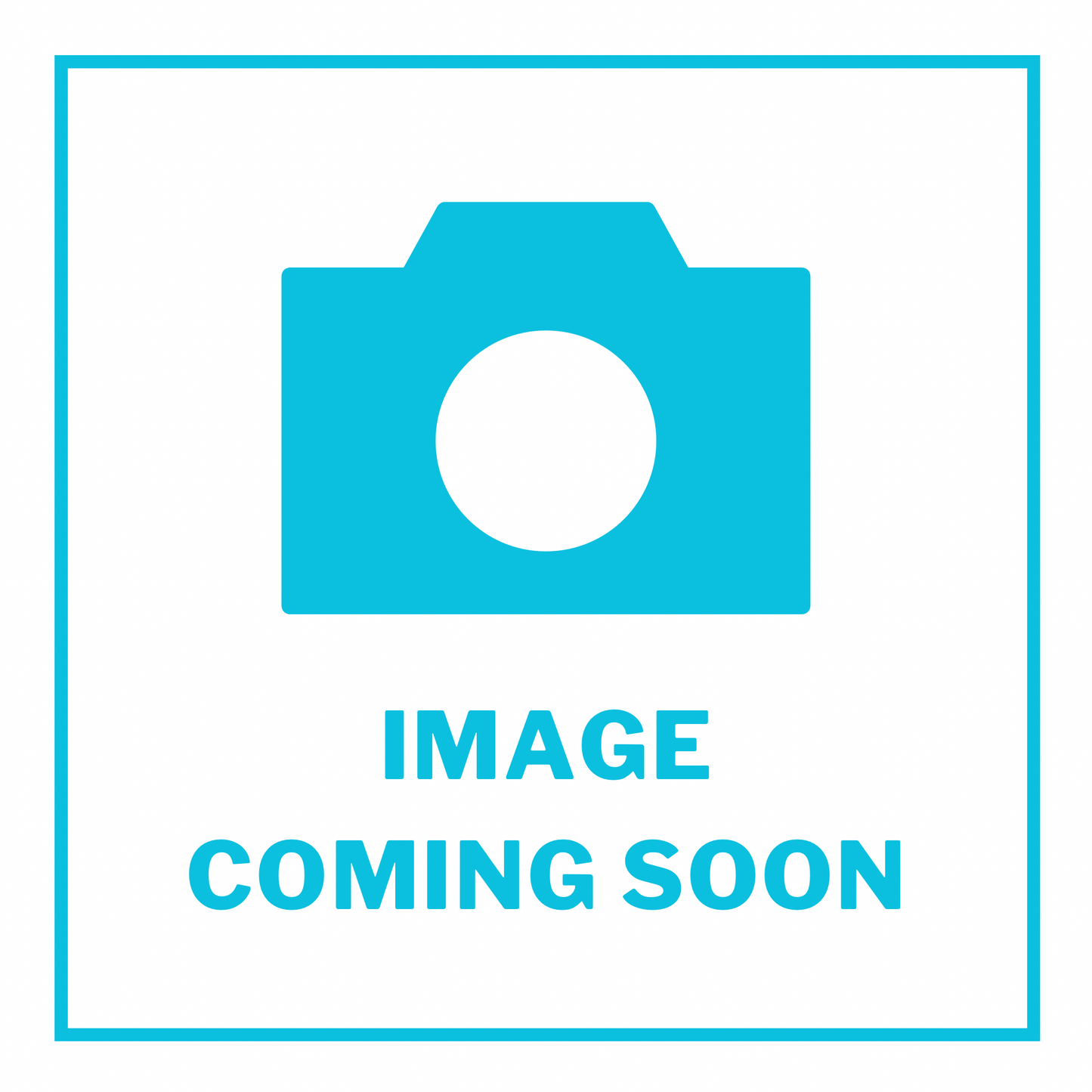 CoolPet Willow Ring with Beads & Feathers Cat Toy