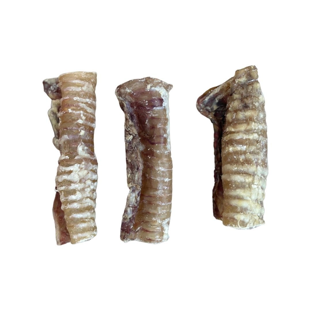 Beef Trachea 12cm 1KG