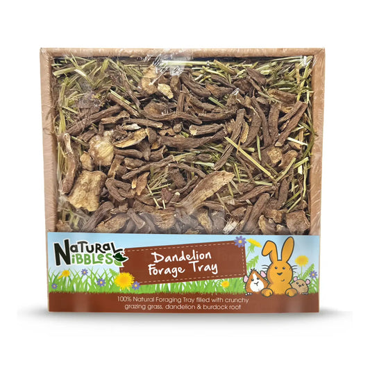 Natural Nibbles Dandelion Forage Tray