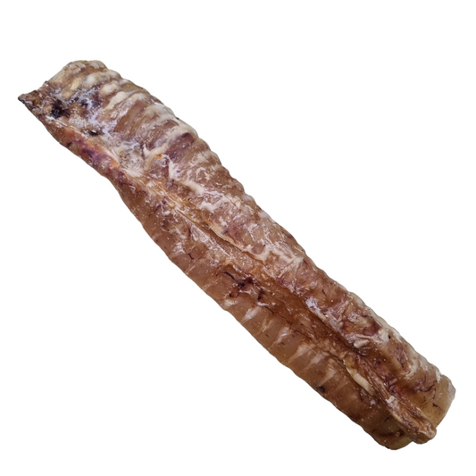 Large Beef Trachea