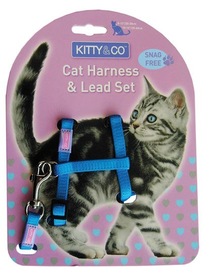 Cat Harness & Lead Set