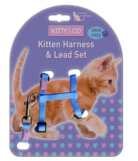 Kitten Harness & Lead Set