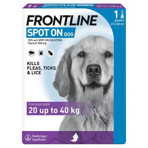 Frontline Spot On Large Dog - 1 Pipette