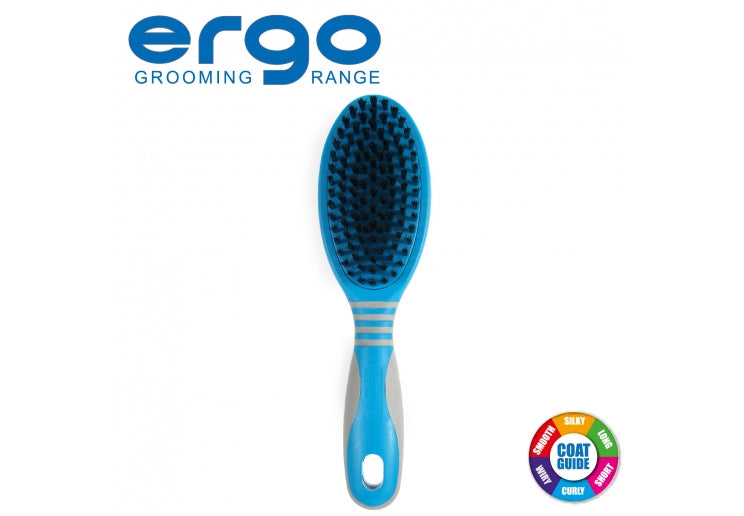 Ancol Ergo Bristle Brush