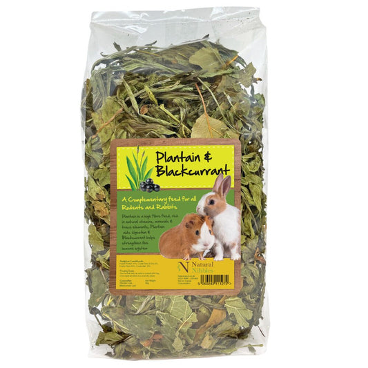 Natural Nibbles Forage Plantain & Blackcurrant 90g